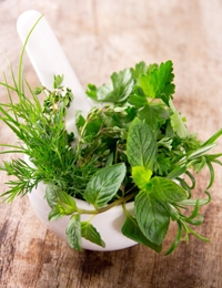 The health benefits of herbs