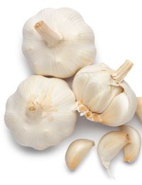 Edible garden: Growing garlic