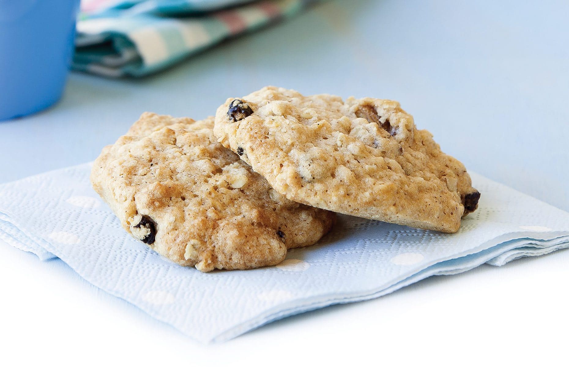 Blueberry oat cookies