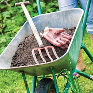 Gardening diary: Early autumn/fall