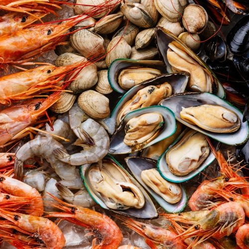 Why we like shellfish