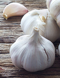 Garlic and a low-FODMAP diet
