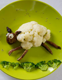 Cauli sheep