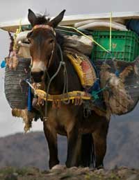 It’s not about life-work balance, it’s about life-work volume