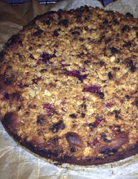 Gluten-free blueberry crumble cake