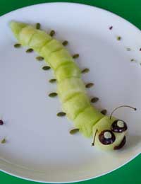 Melon caterpillar