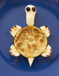 Pancake turtle