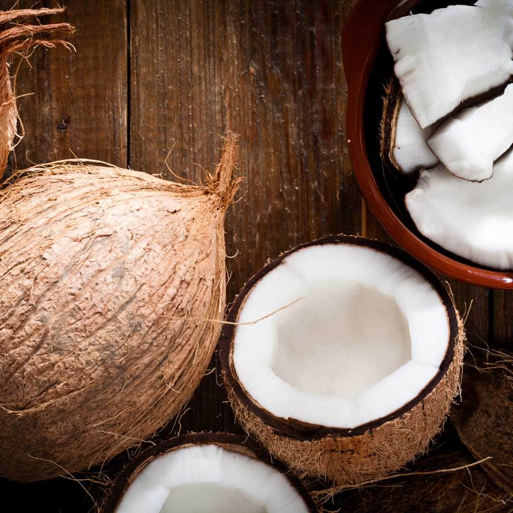 Coconut: the good oil?