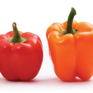 A guide to antioxidants