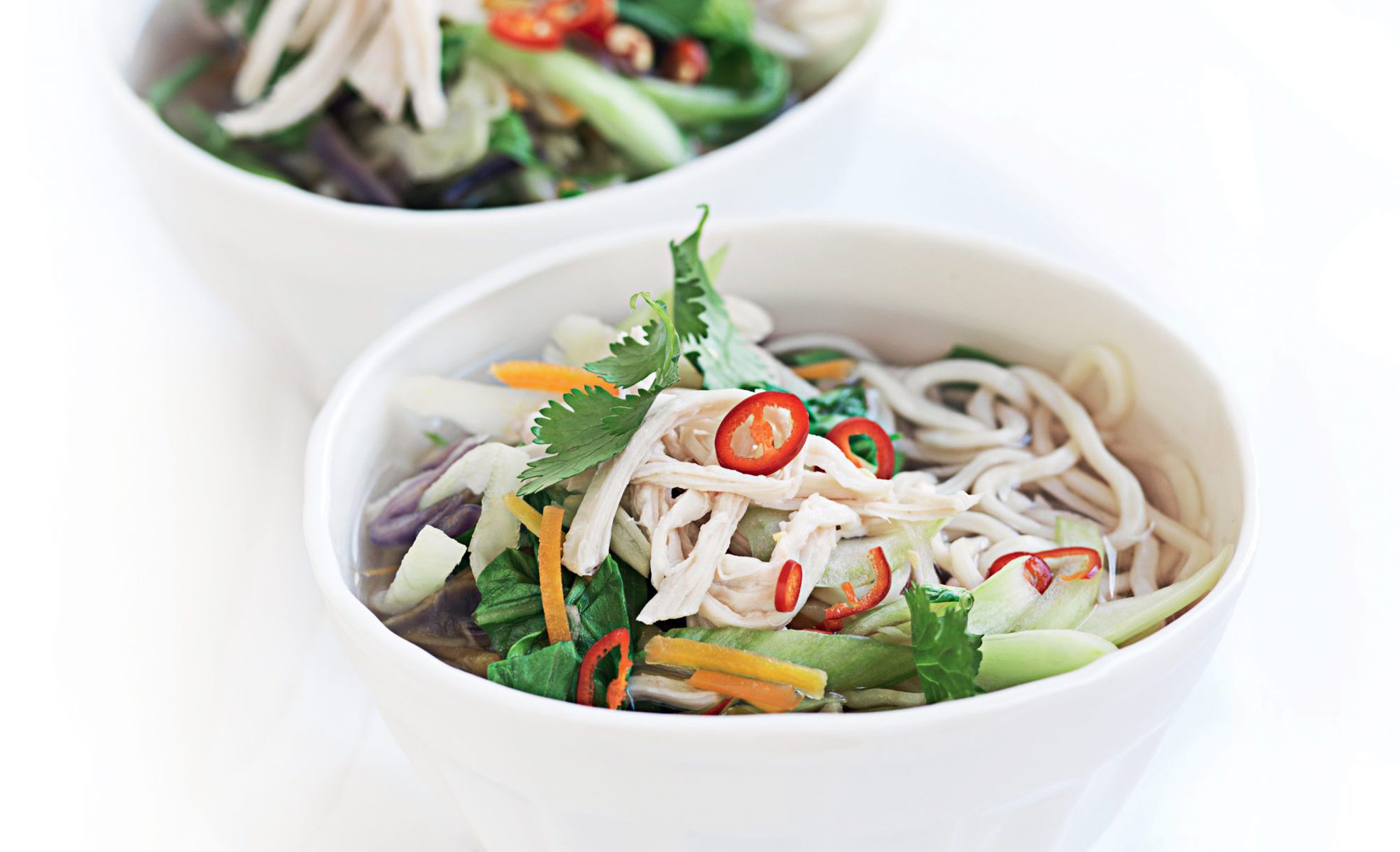 Chicken and udon noodle soup