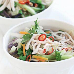 Chicken and udon noodle soup