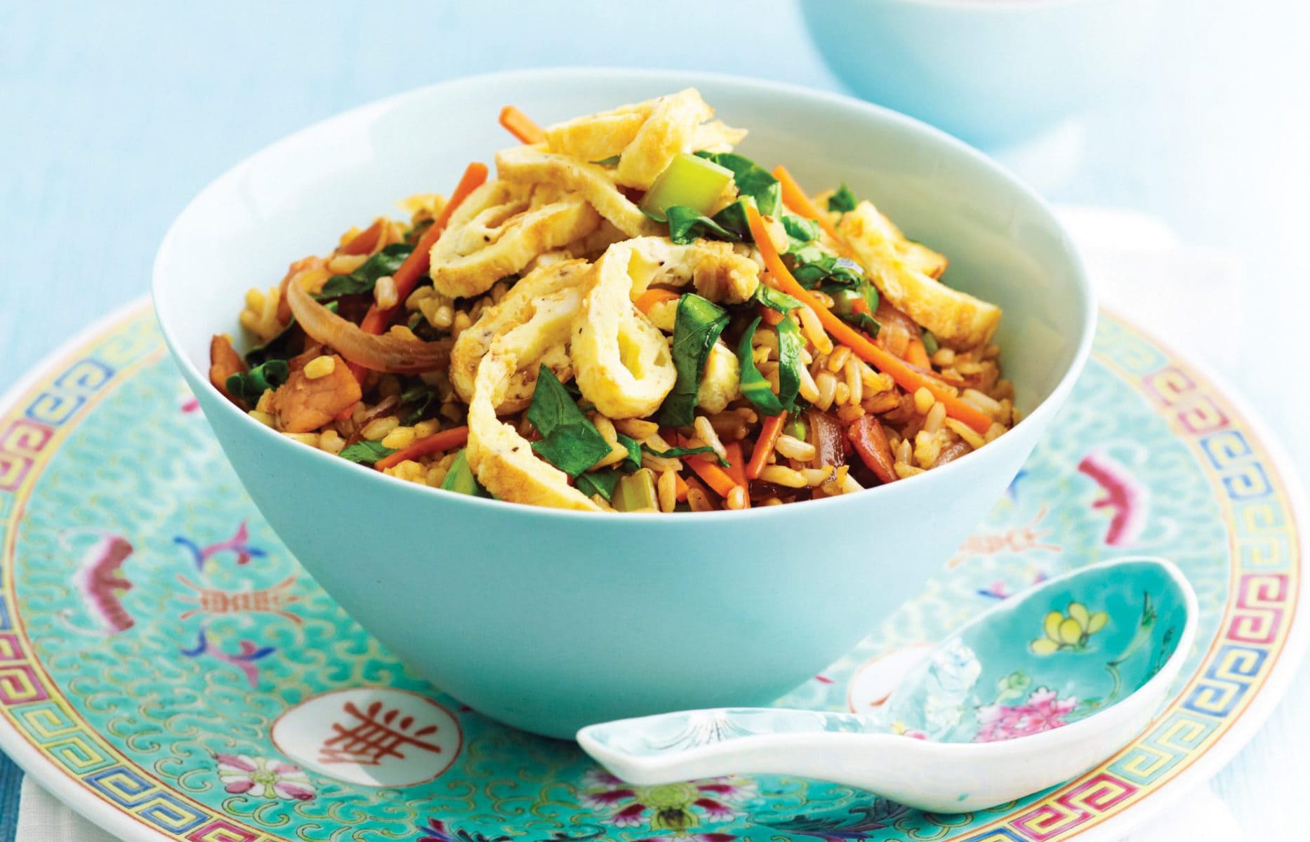HFG fried rice