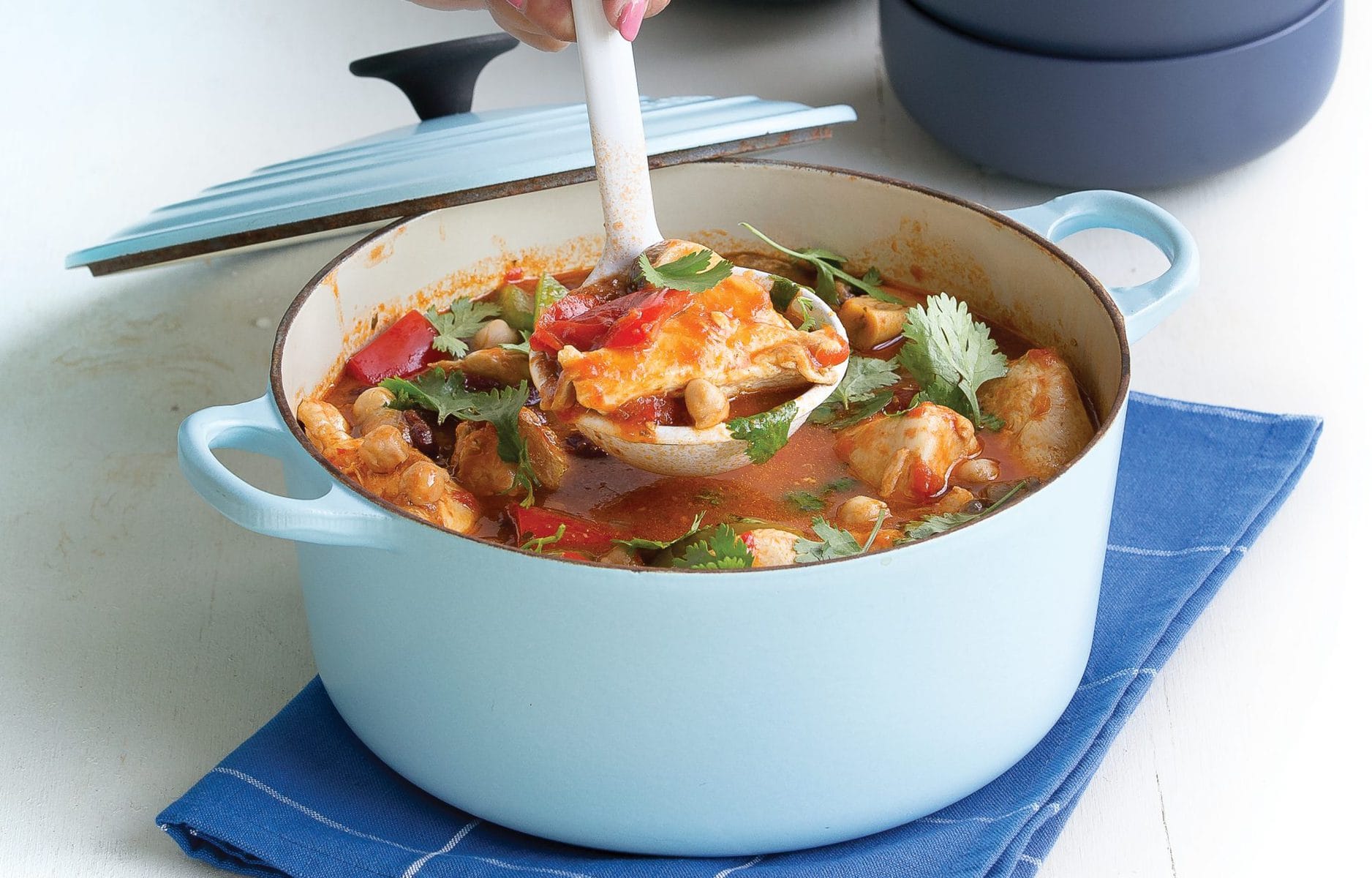 Mexican chicken pot
