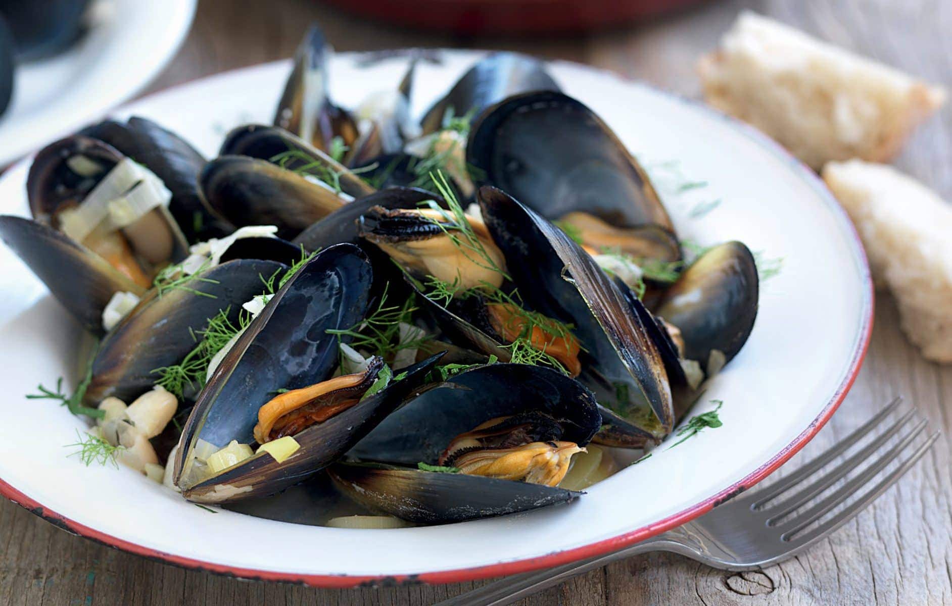 Mussels with fennel and cannellini beans in white wine broth