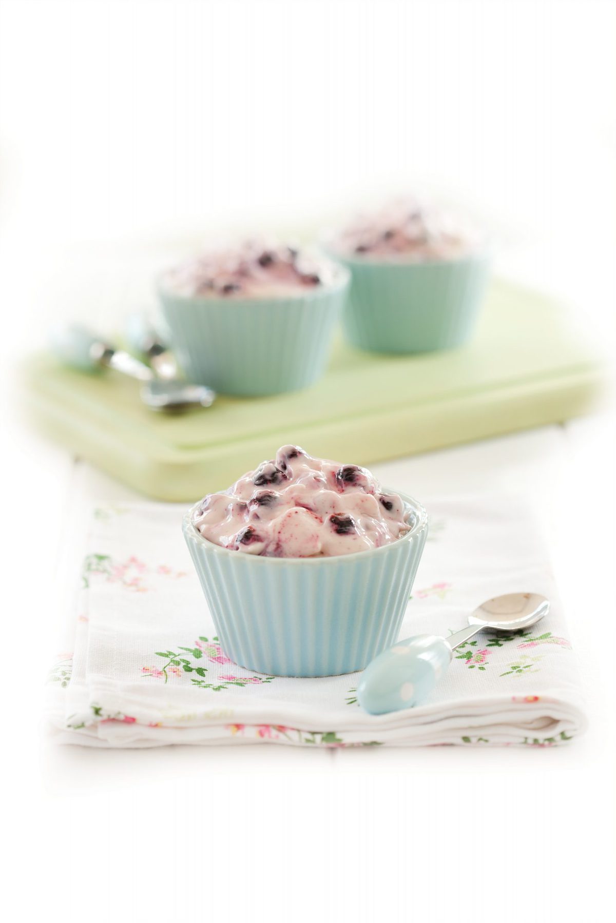 Blackcurrant iced mousse