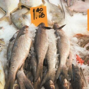 Buyer’s guide to fish