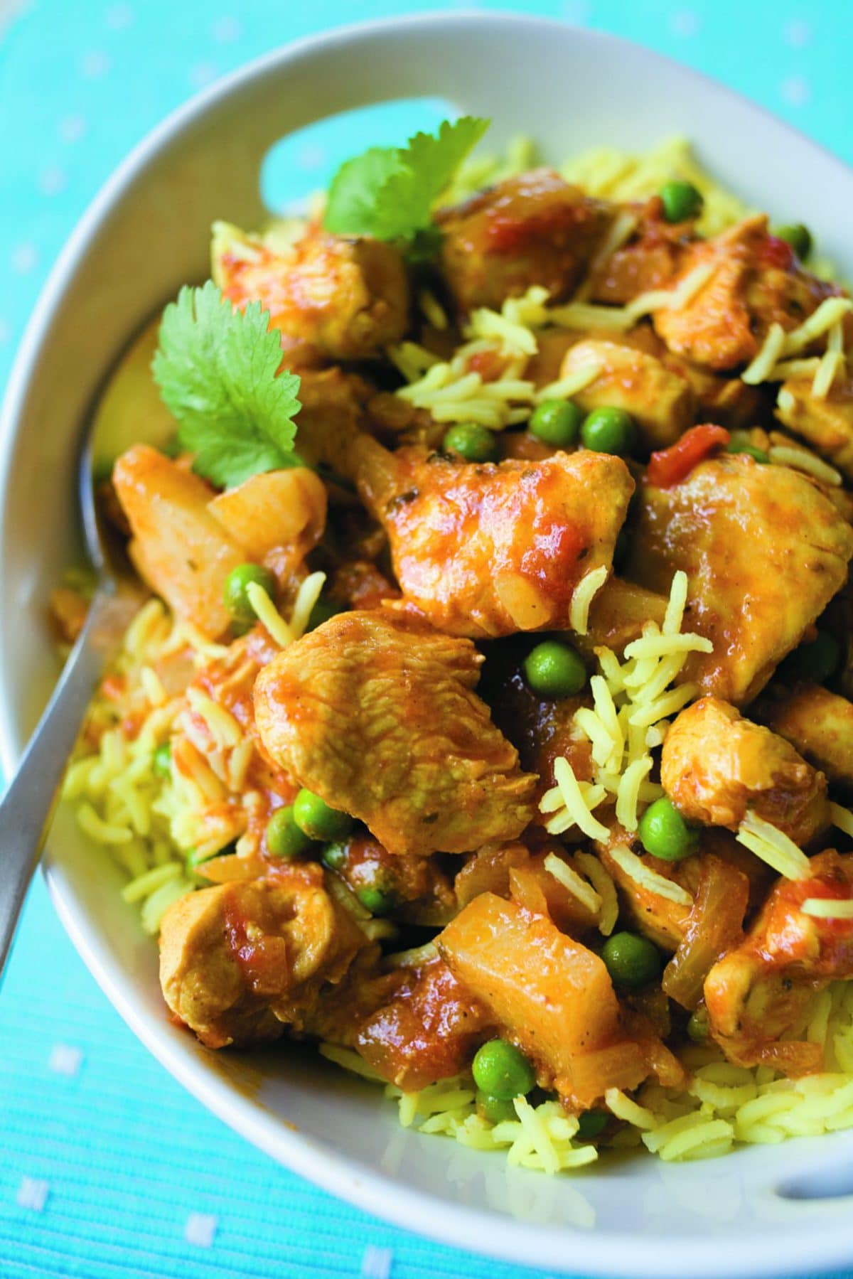 Simple chicken biryani