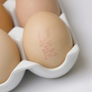 Fact or fiction: You can eat foods past their use-by dates