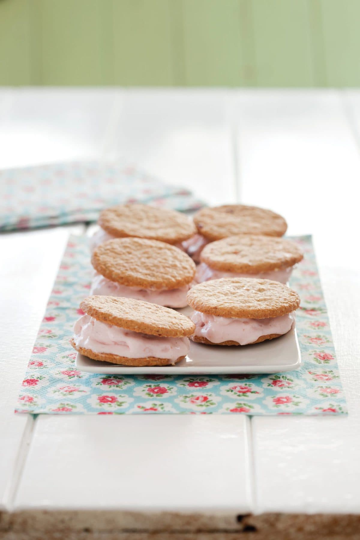 Frozen yoghurt sandwich