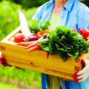 Gardening diary: Mid-summer