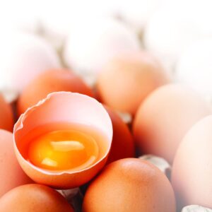 How do they produce eggs?