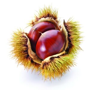 In season mid-autumn: Chestnuts