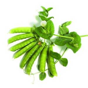 In the garden: It’s time for peas