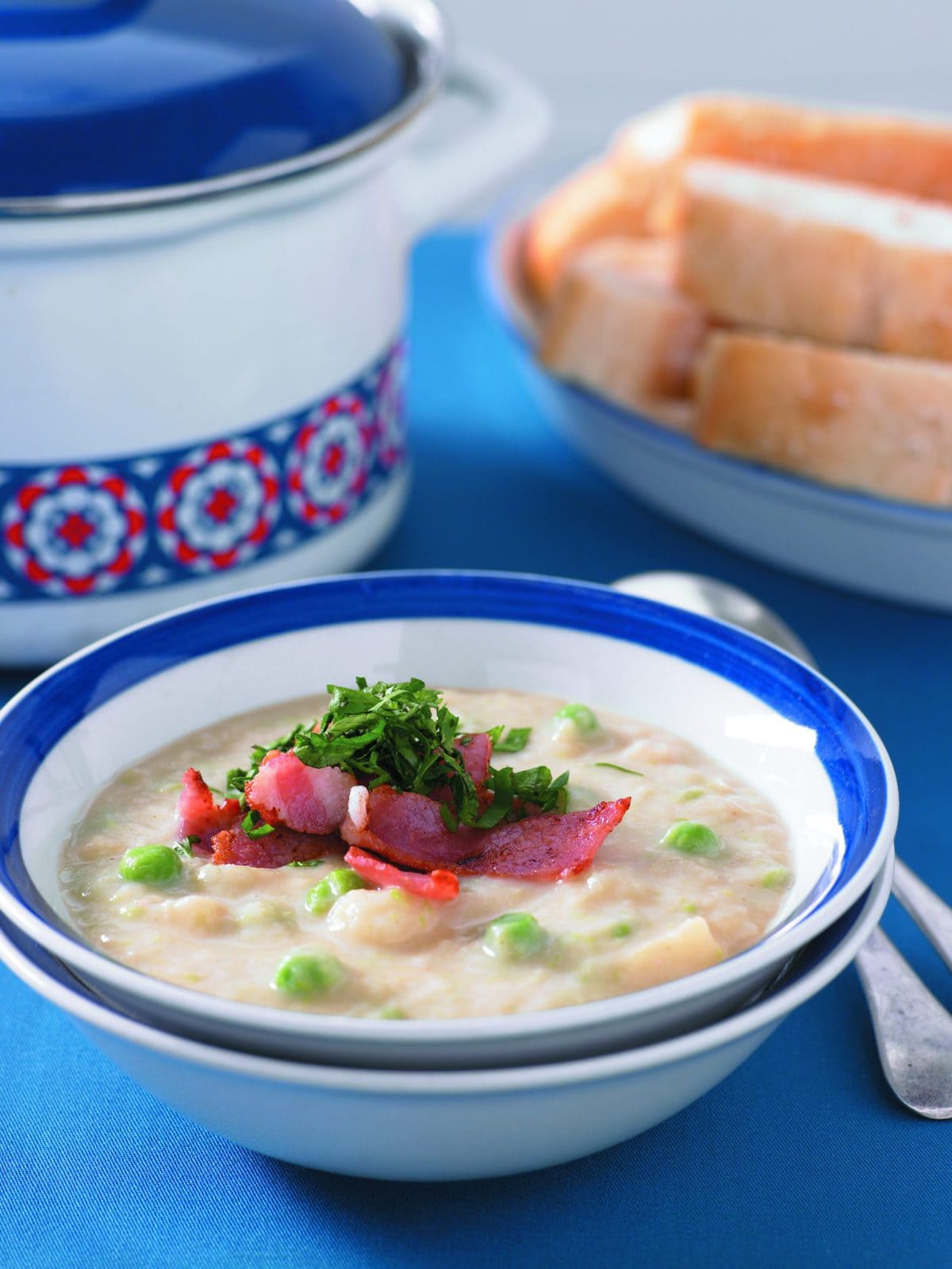 Vegetable, bean and bacon soup