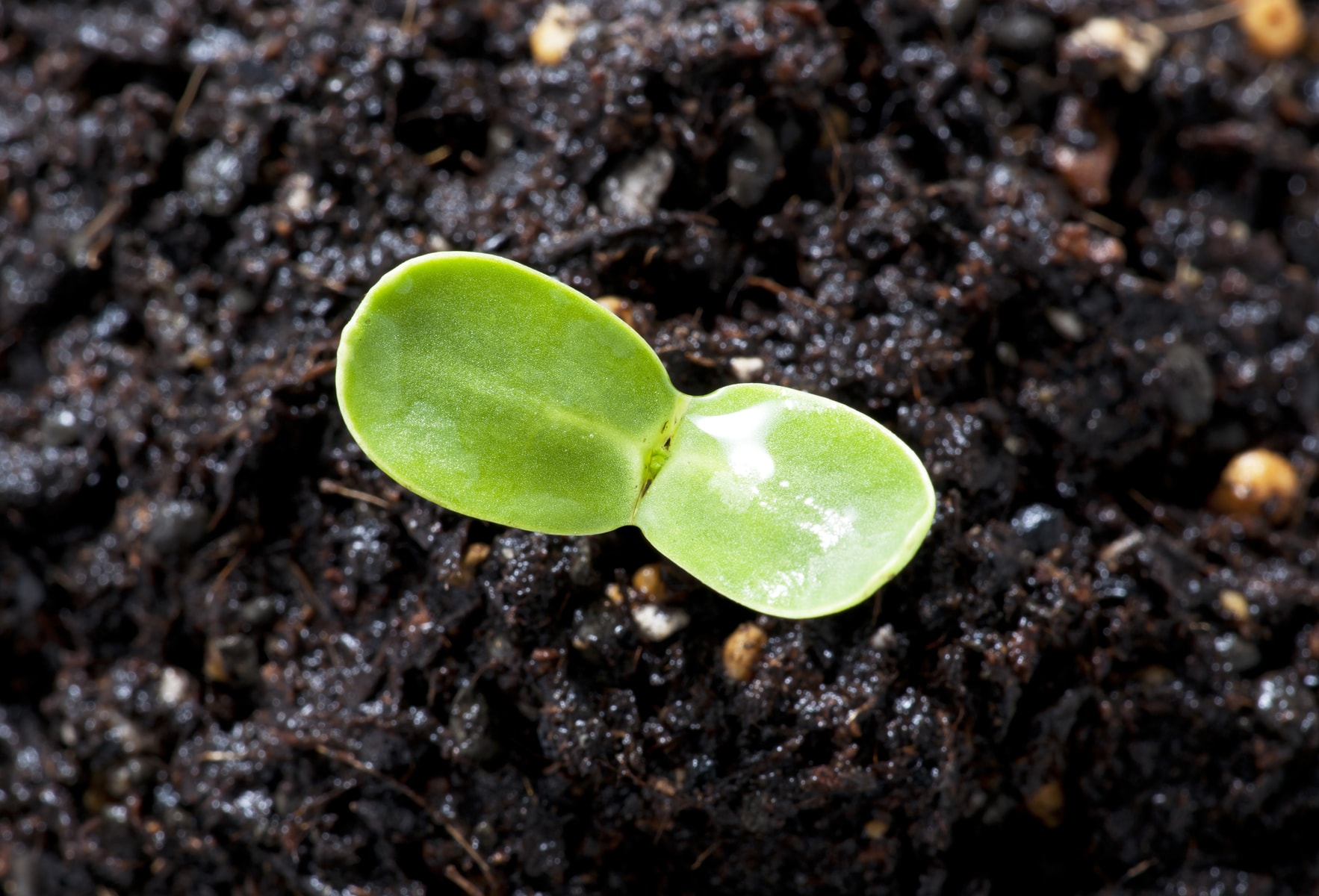 WHAT DOES NATURAL MEAN visual data 8