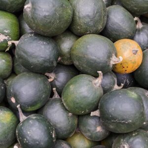The art of growing your own food