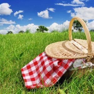 Fresh ideas for picnics