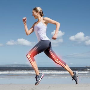 High-fat diet harms rat bone health