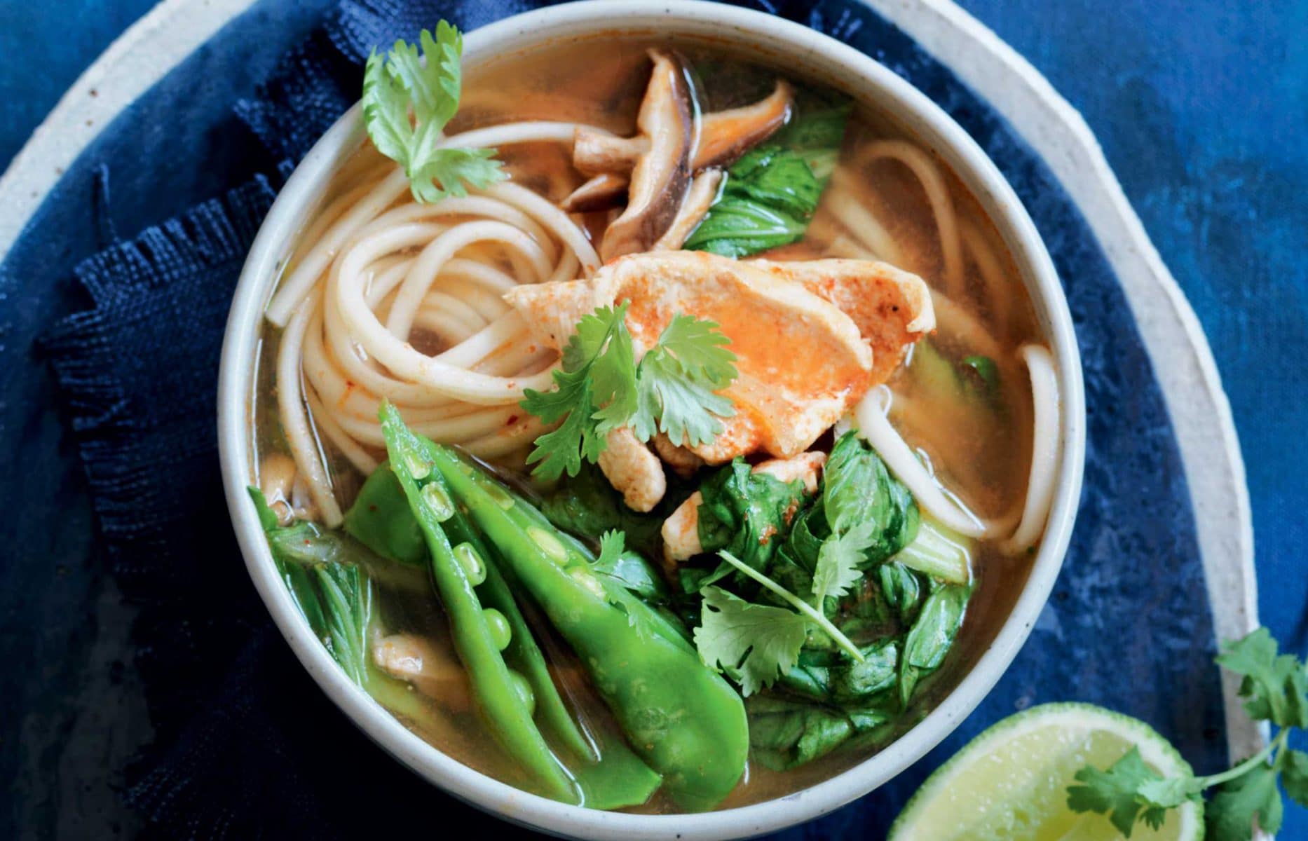 Spicy chicken and bok choy udon noodle soup