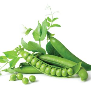 How to grow peas