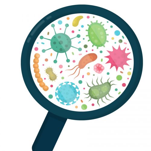 A guide to probiotics