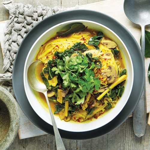 Indo-style chicken noodle soup