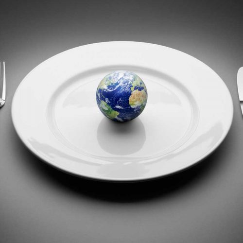 The best diet for a healthy planet