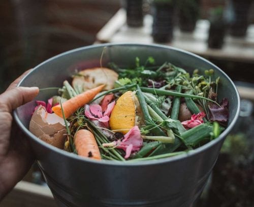 Food scraps in a bowl
