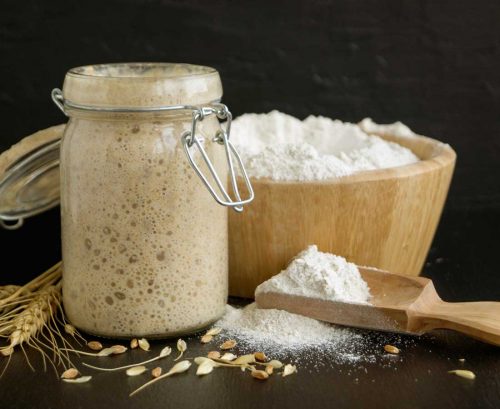 sourdough starter