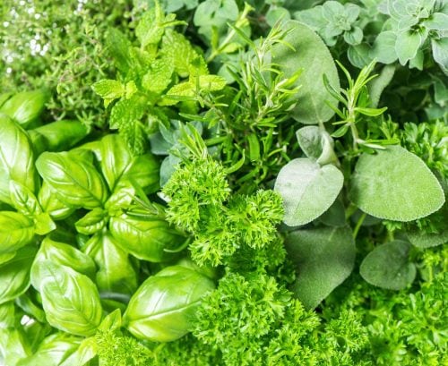 Fresh basil, sage and parsley