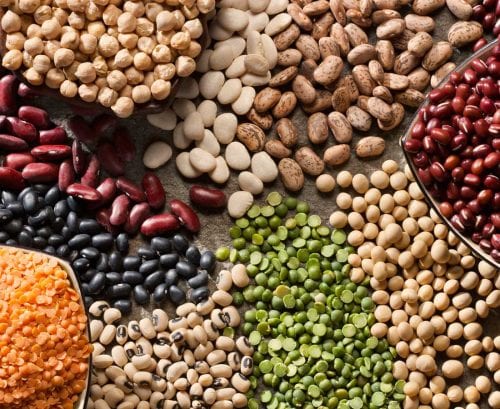 lentils, kidney beans, chickpeas, borlotti beans, black eye beans, adzuki, puy lentils