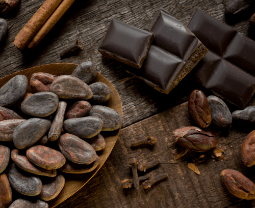 Dark chocolate and cacao beans