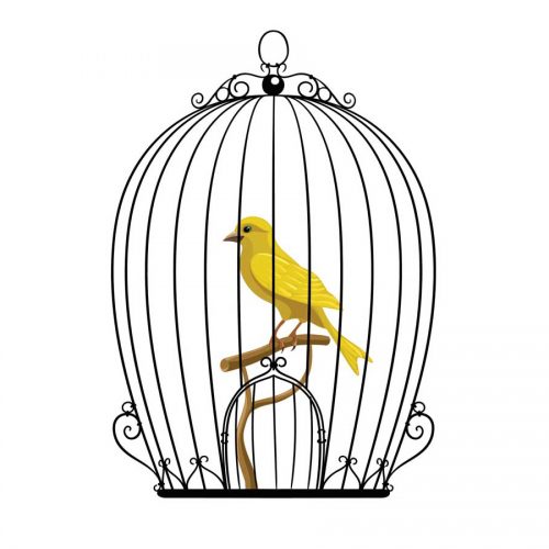 How to break free from the diet mindset