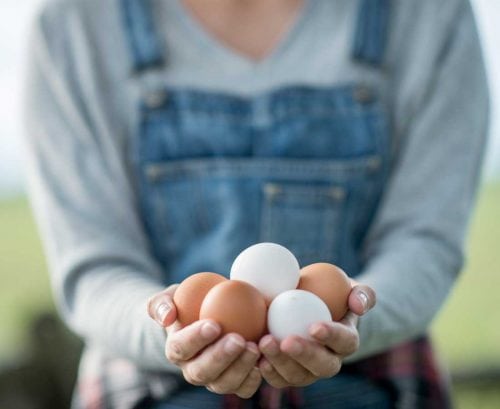 Person holding out a clutch of eggs