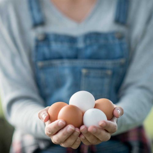 What to do with eggs – 10 easy ideas