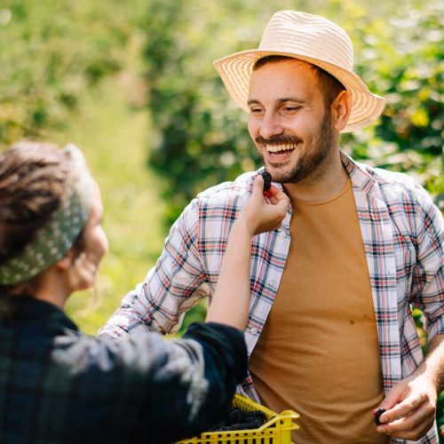 10 ways to boost your antioxidant intake