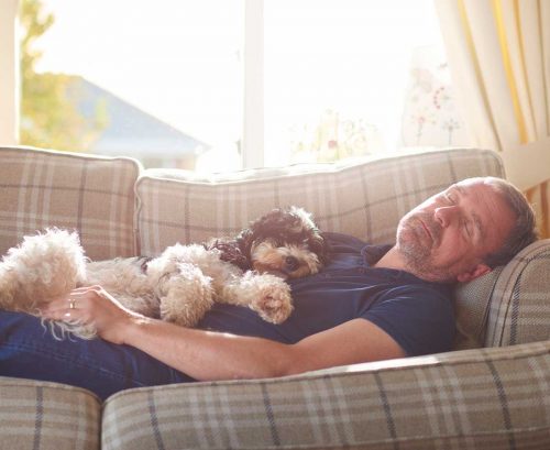 Older man napping on the couch with his dog