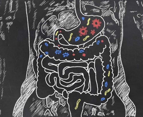 Chalk drawing of digestive tract