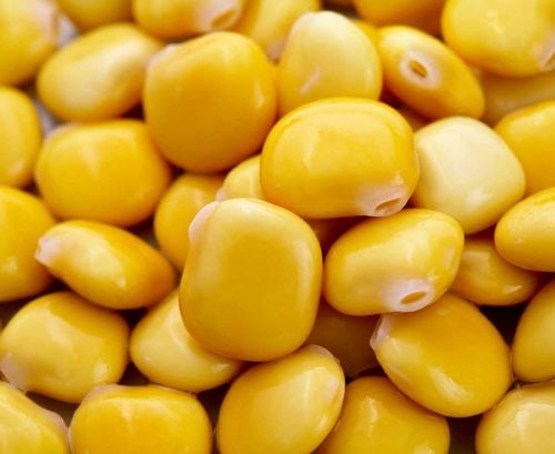 Lupin beans