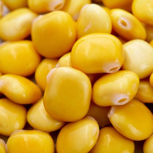 The health benefits of lupin — the powerhouse legume